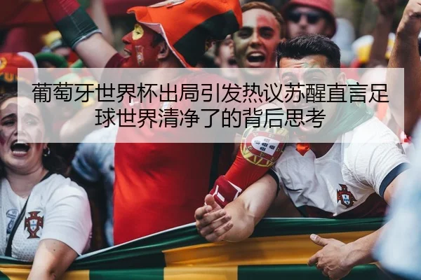 葡萄牙世界杯出局引发热议苏醒直言足球世界清净了的背后思考